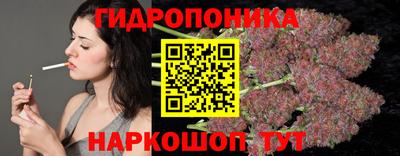 стаф Гусь-Хрустальный