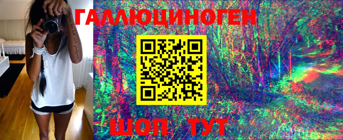 Сафоново  купить  цена  Вход с VPN  Псилоцибиновые грибы Psilocybe 