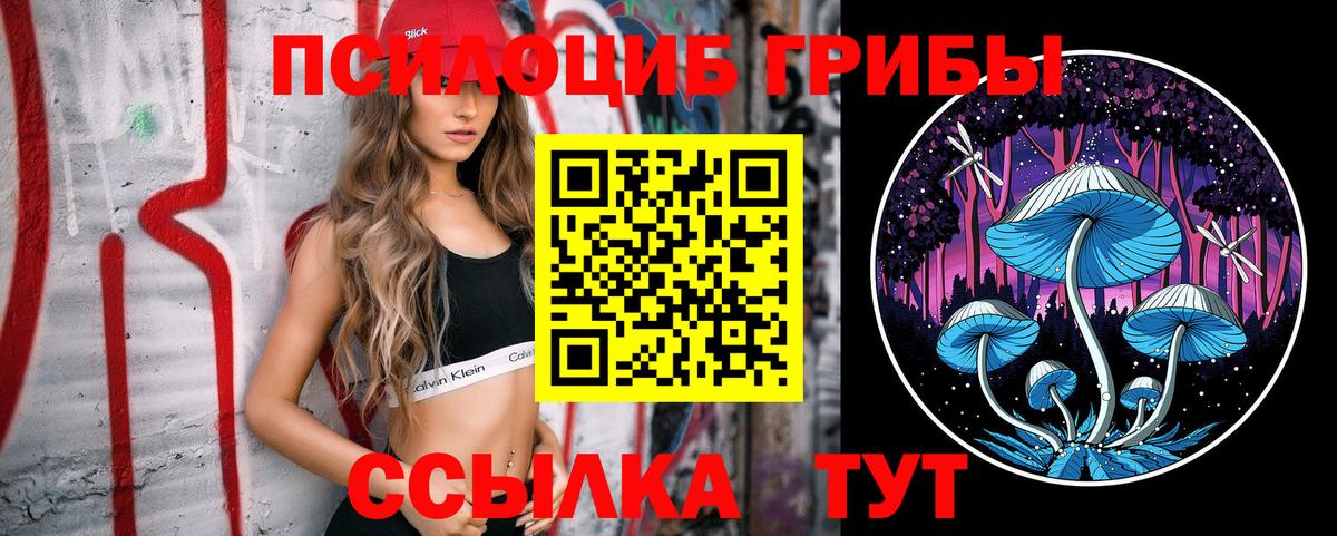 Галлюциногенные грибы мицелий Сафоново
